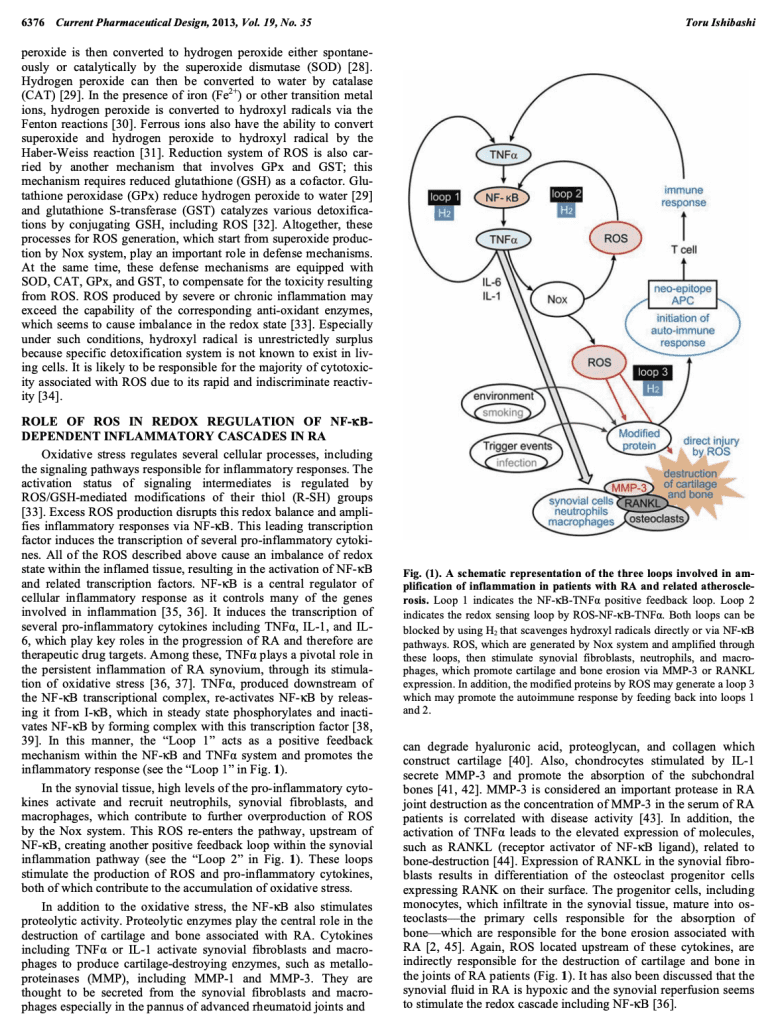 New Antioxidant and Anti-inflammatory Therapy for Rheumatoid Arthritis